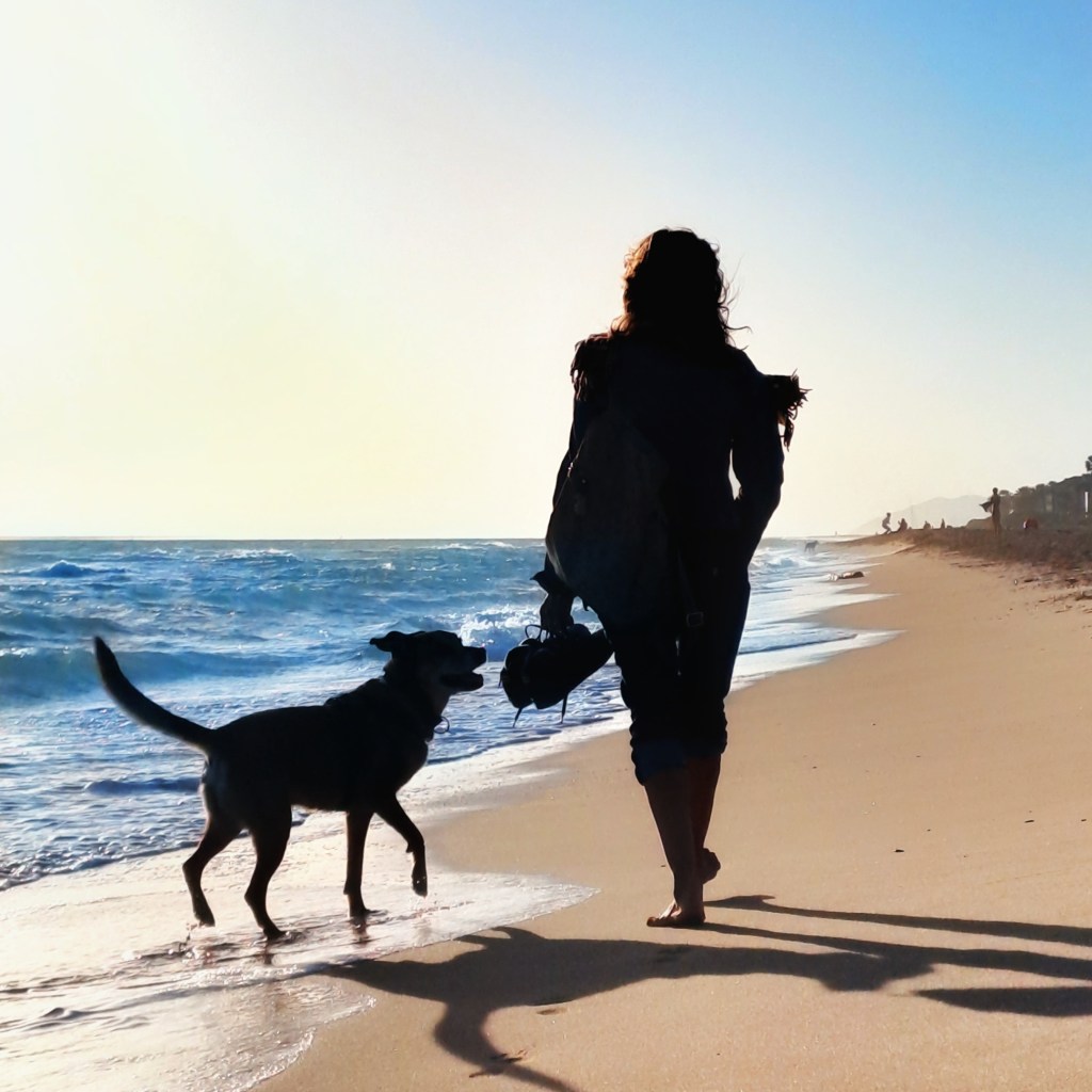 2024: Un Año Desafiante y&nbsp;Transformador